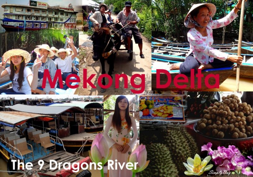 Mekong Delta River banner